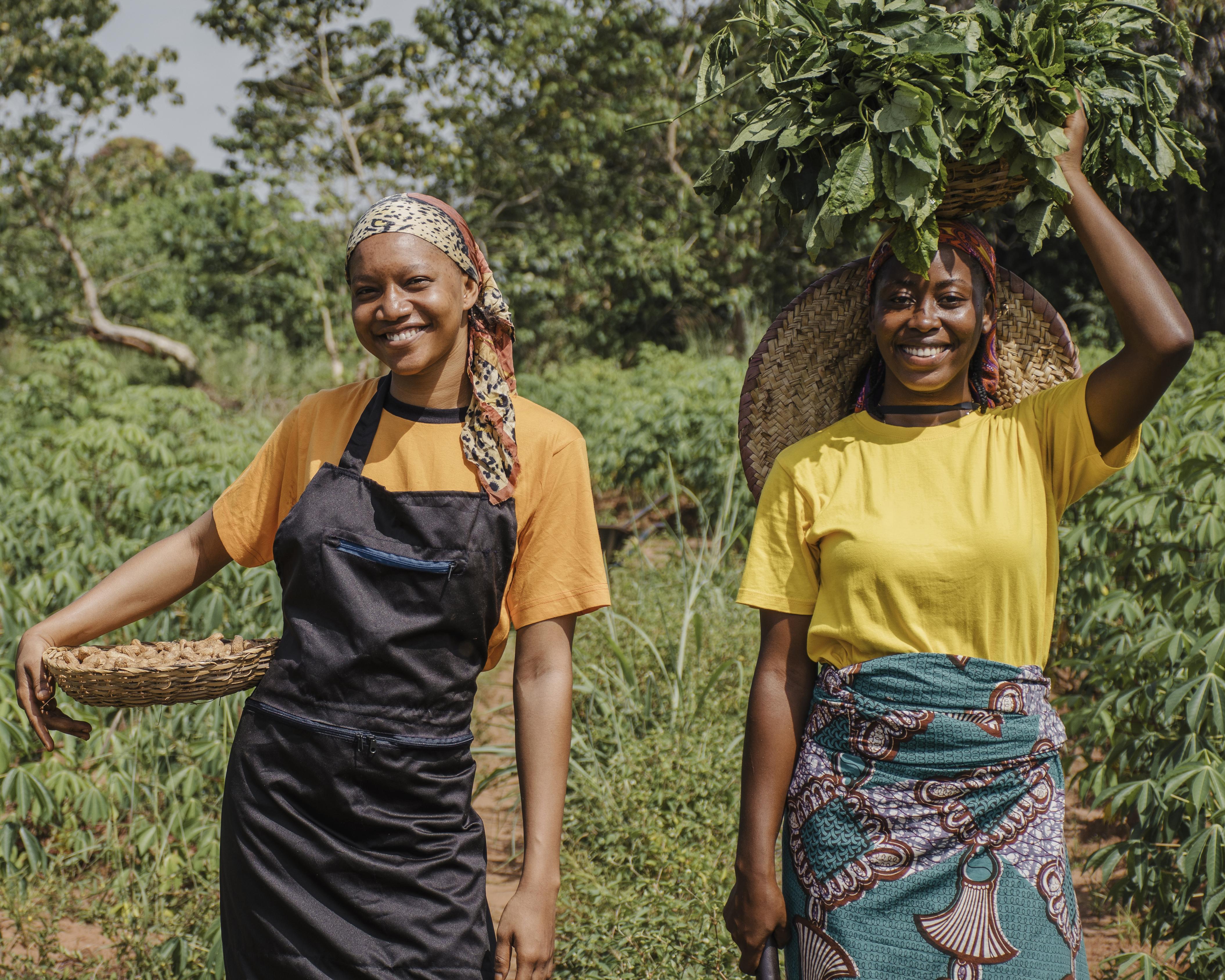 AGRIFORLAND — Agriculture, Environnement et Expertise en Côte d'Ivoire